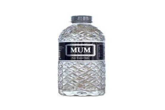 মিনারেল ওয়াটার (500 ml)